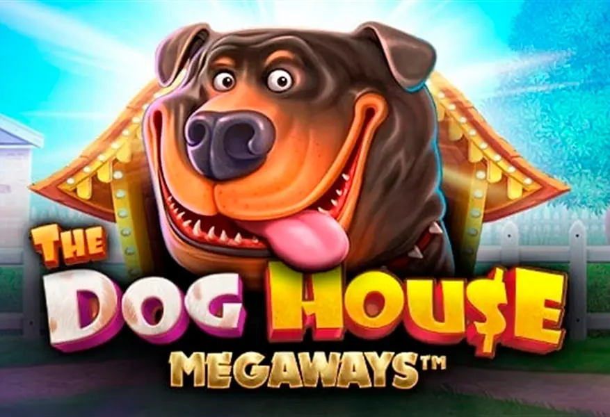 Dog House